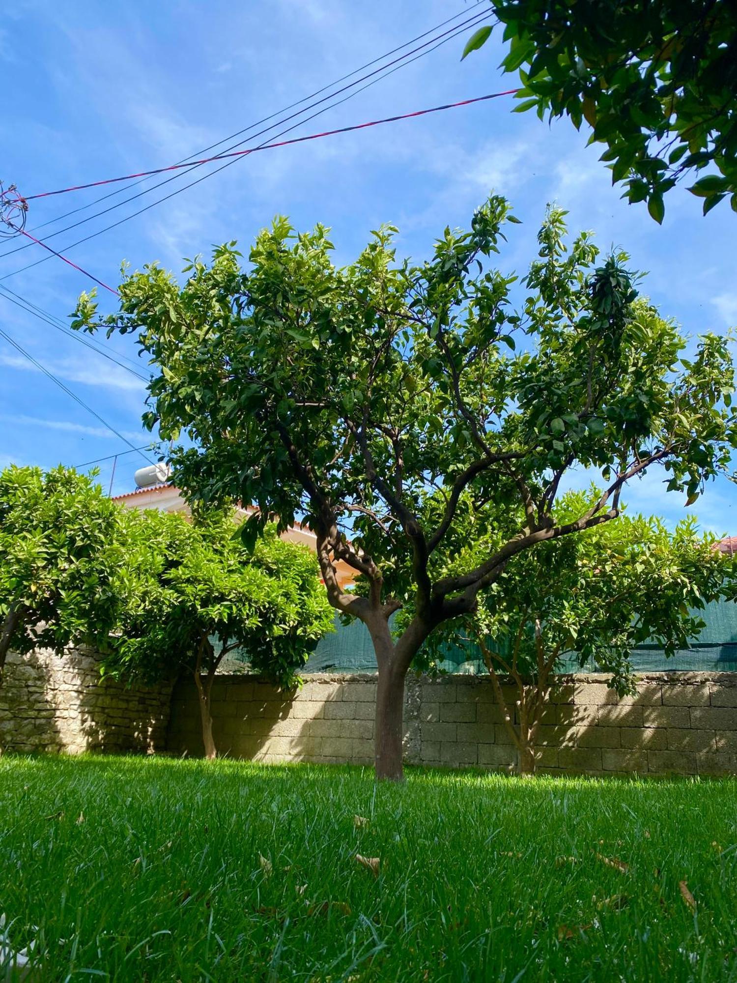 Villa Berat Bagian luar foto