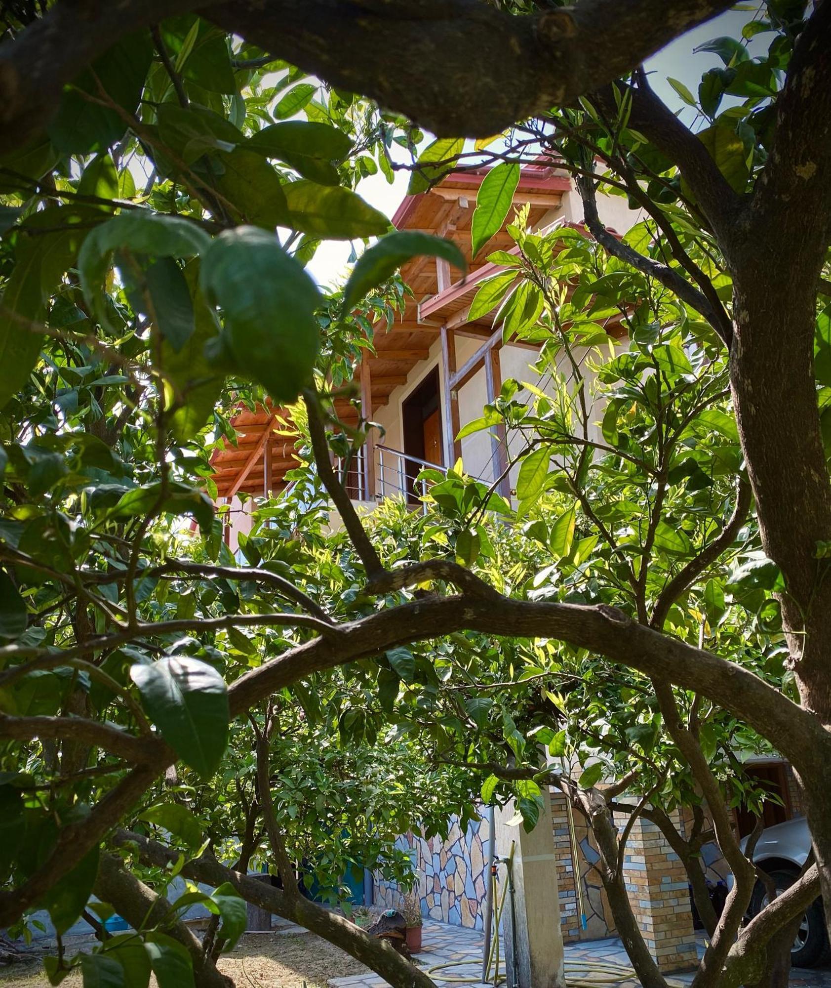 Villa Berat Bagian luar foto